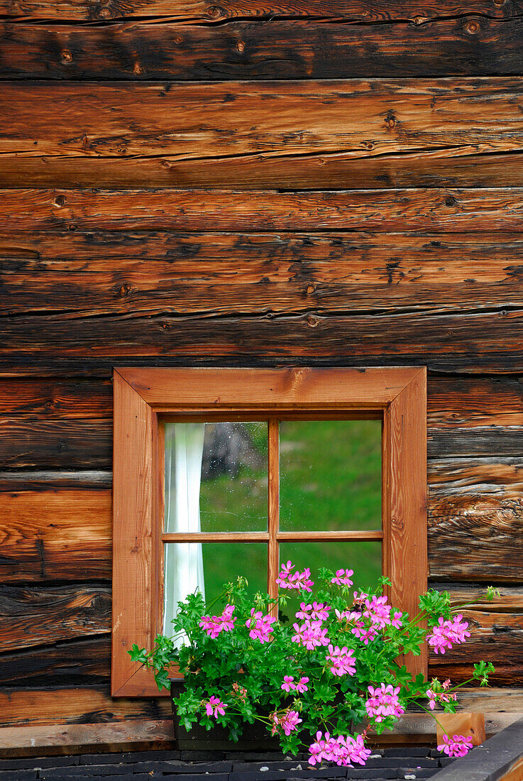 flower decorated window at farmhouse, Ötztal range, South Tyrol, Italy