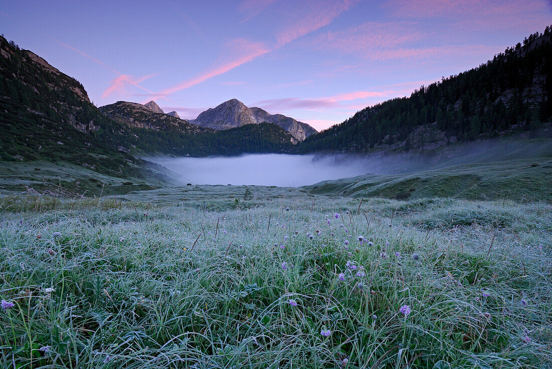 Nebel über dem Funtensee, Berchtesgadener Alpen, Nationalpark Berchtesgaden, Berchtesgaden, Oberbayern, Bayern, Deutschland