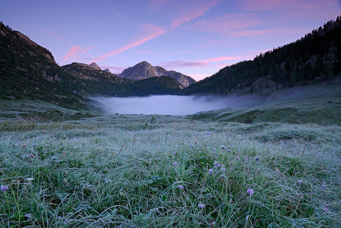 fog bank above lake Funtensee, Berchtesgaden range, National Park Berchtesgaden, Berchtesgaden, Upper Bavaria, Bavaria, Germany