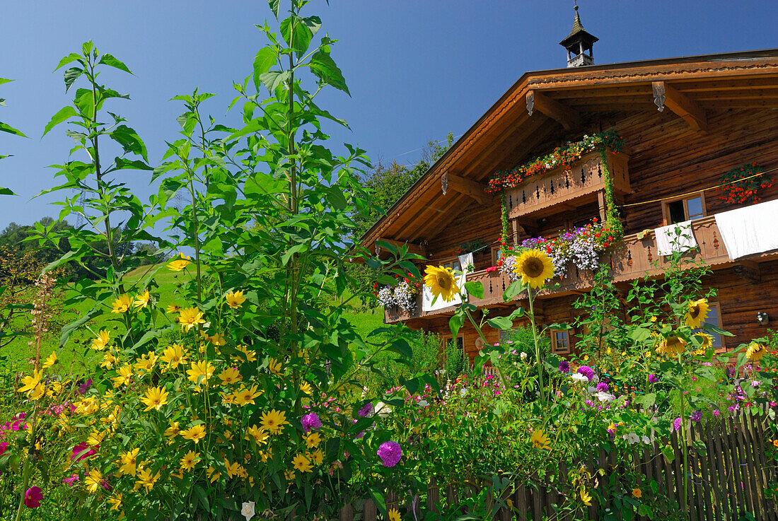 garden and farmhouse, Maria Alm, Steinernes Meer range, Berchtesgaden range, Salzburg, Austria