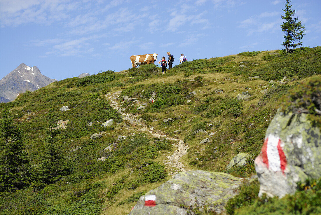 Wanderer auf markiertem Wanderweg, Schobergruppe, Nationalpark Hohe Tauern, Tirol, Österreich