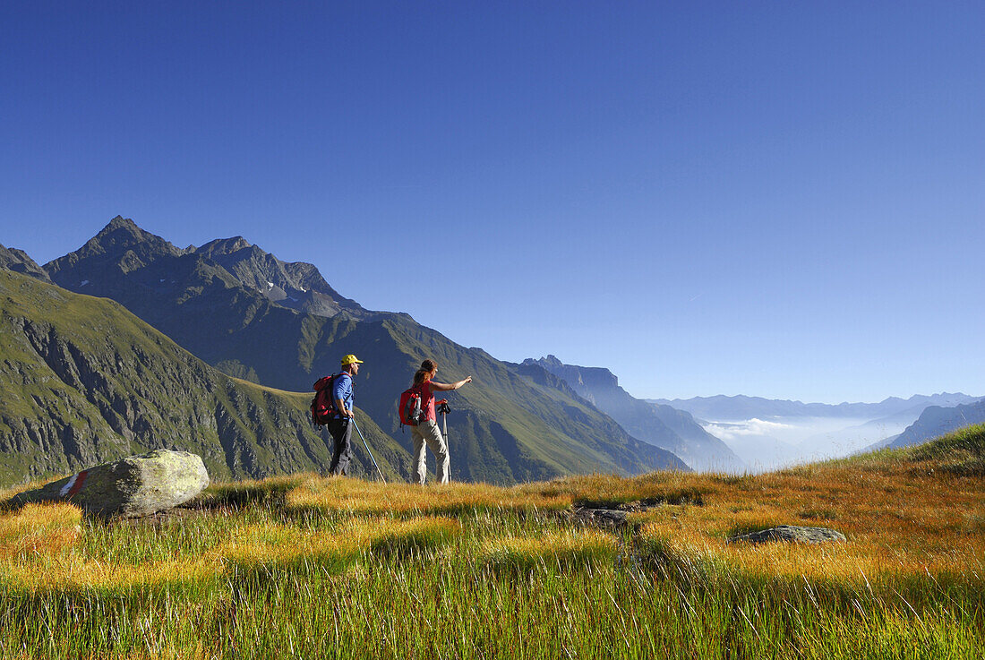 Paar wandert über herbstlich verfärbter Moorwiese, Stubaier Alpen, Stubai, Tirol, Österreich