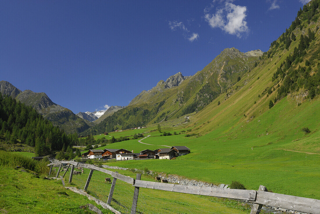 Alpine hut Stoecklenalm, valley Oberberg, Stubai Alps, Stubai, Tyrol, Austria