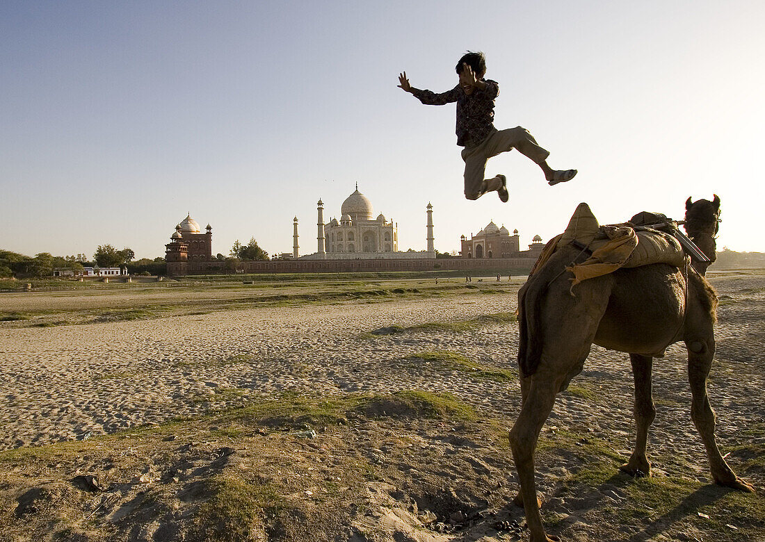 Boy jumping from camel with Taj Mahal in background, Agra. Uttar Pradesh, India