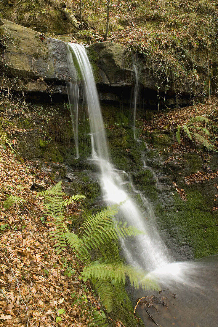 Waterfall, river Urbeltza. Irati forest, Navarra, Spain