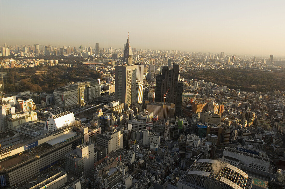 Setting Sun over Shinjuku West High Rising Buildings, Tokyo. Japan