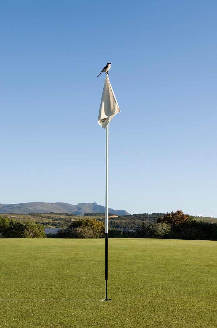 Golfflagge auf dem Golfplatz des Arabella Western Cape Hotel & Spa, Hermanus, Westkap, Südafrika, Afrika