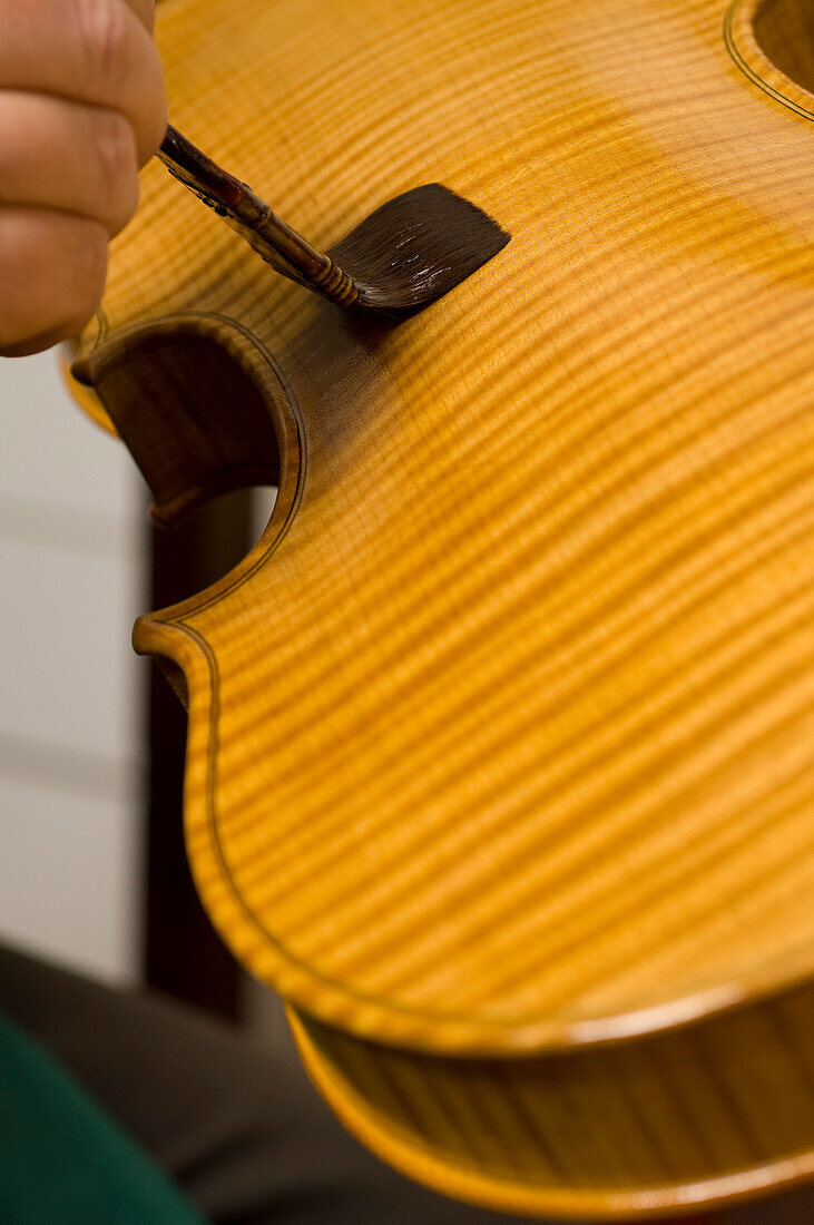 Primo Pistoni fertigt eine Geige in seiner Werkstatt, Auftragen des Lack, Geigenbauer, Cremona, Lombardei, Italien