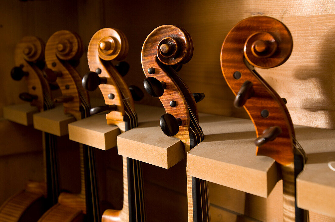 Close up of Violin Scrolls, Workshop of Bruce Carlson, Violin Makers, Cremona, Lombardy, Italy