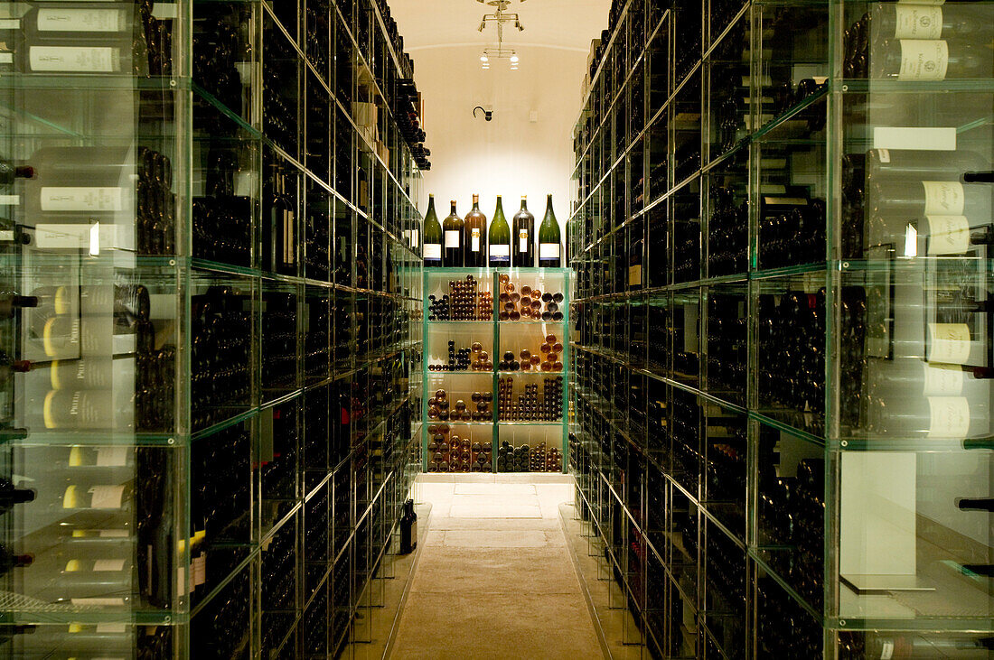 Wine cellar with vintage wines, Palais Coburg, Vienna, Austria