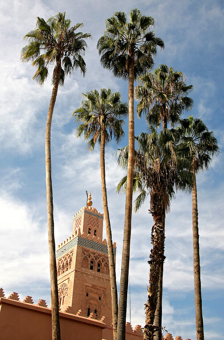Palm trees in front of the Kutubiya mosque, Marrakesh, Morocco, Africa