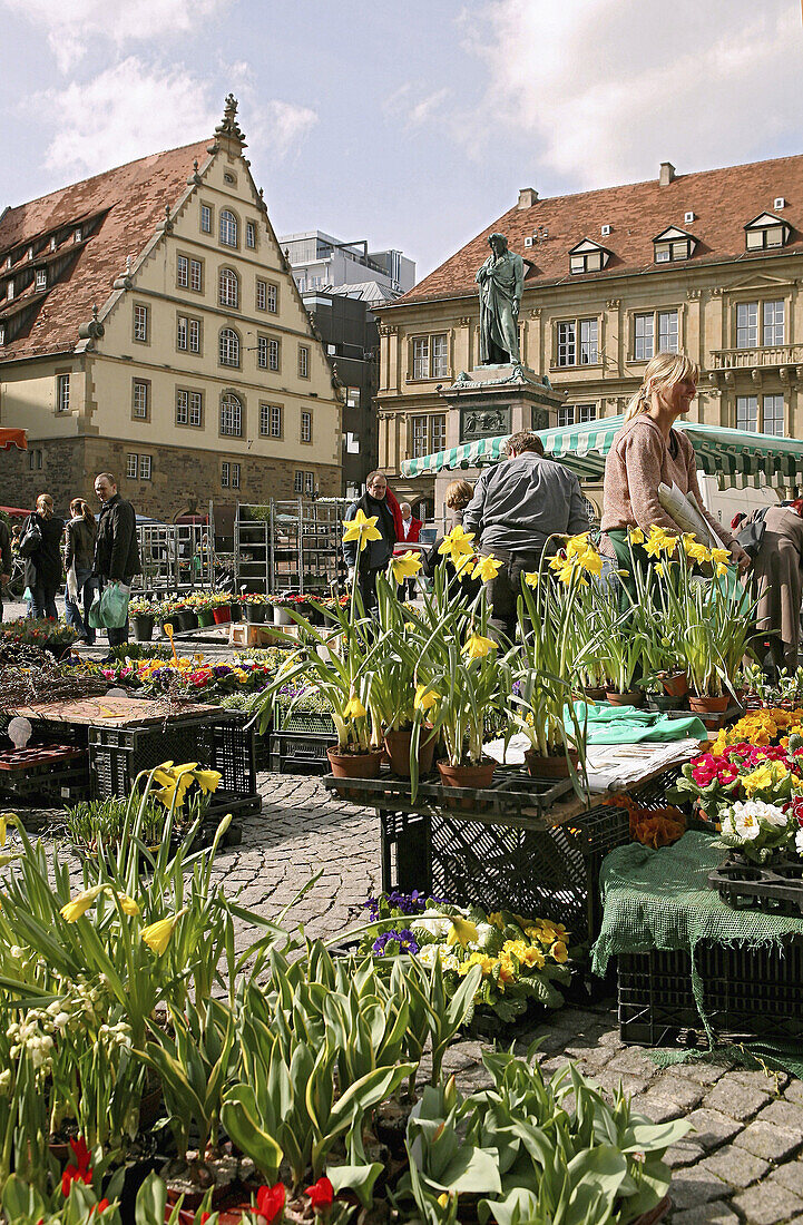 Blumenmarkt auf dem Schillerplatz mit Schiller Statue, Stuttgart, Baden-Württemberg, Deutschland