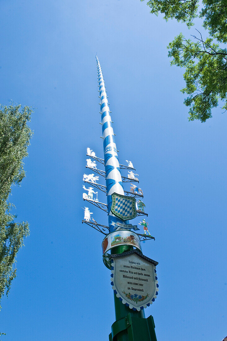 Maibaum mit Zeichen der Handwerker im Ort, Tradition, Folklore, Oberhaching, Oberbayern, Bayern, Deutschland