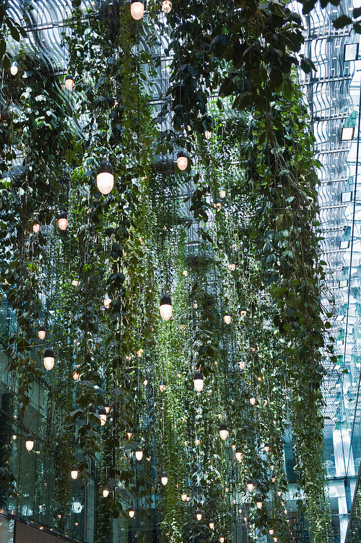 Climbing plants and lights on the ceiling, Munich, Bavaria, Germany