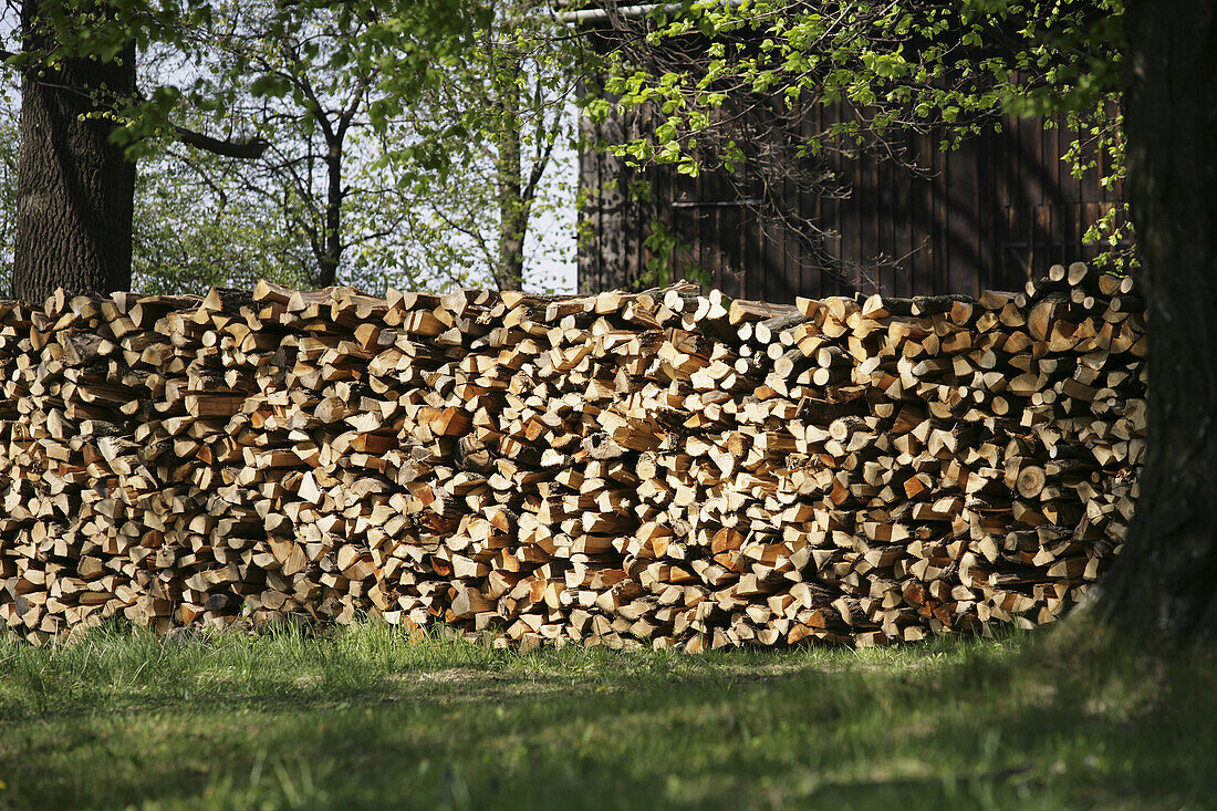 Stack of fire wood under, Styria, Austria