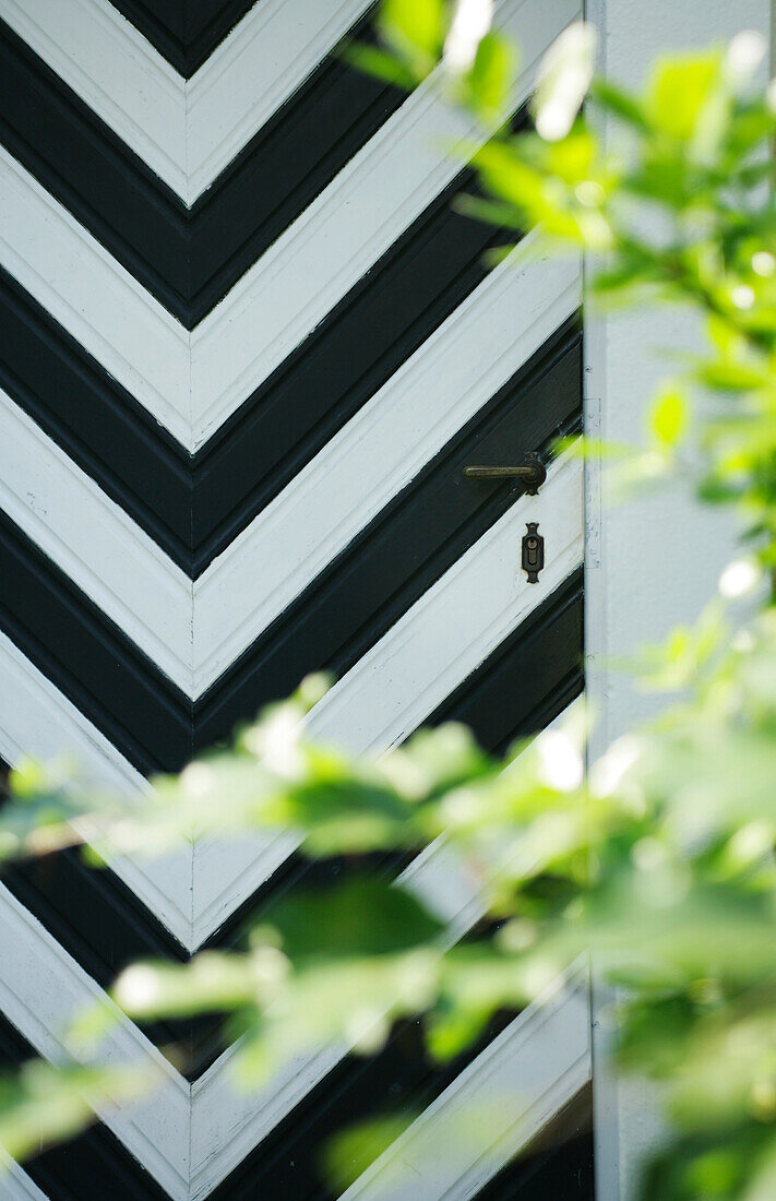 Door with a black and white design behind a leavebranch