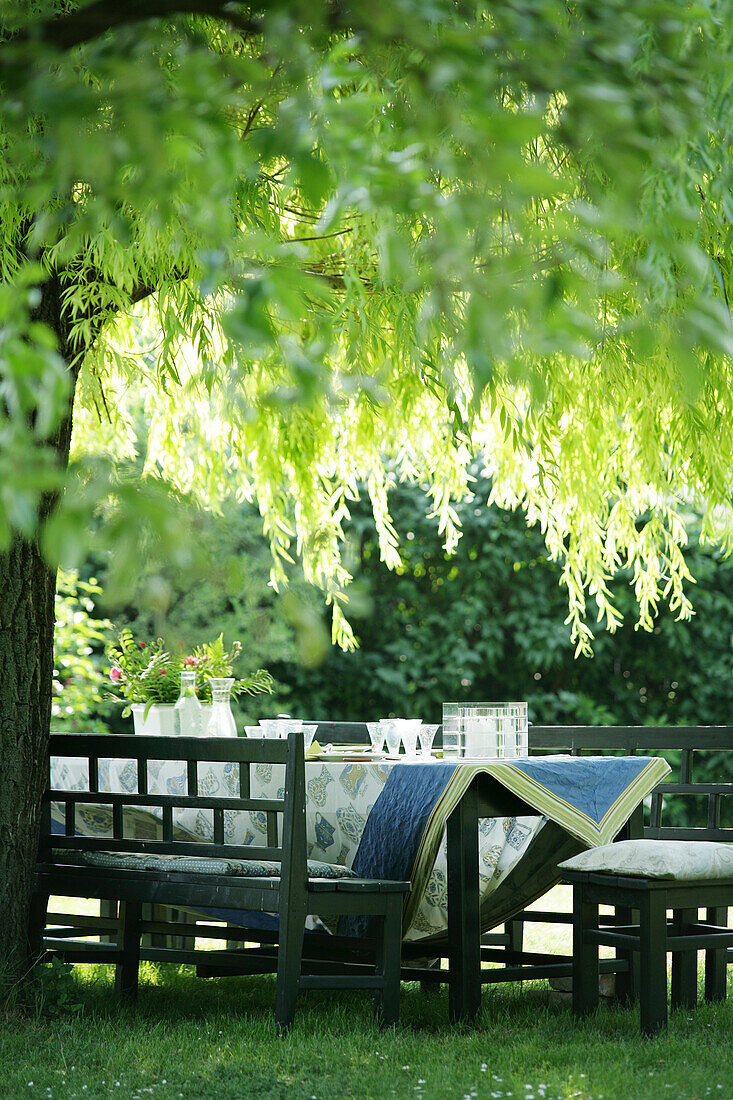 A table is laid under a tree