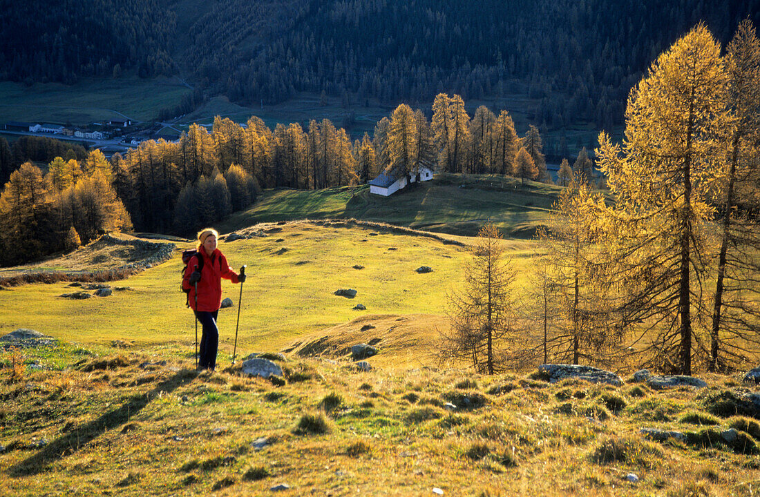 Junge Frau im Aufstieg zur Chamanna d'Es-cha auf Almwiese zwischen Lärchen, Silvretta, Oberengadin, Engadin, Graubünden, Schweiz