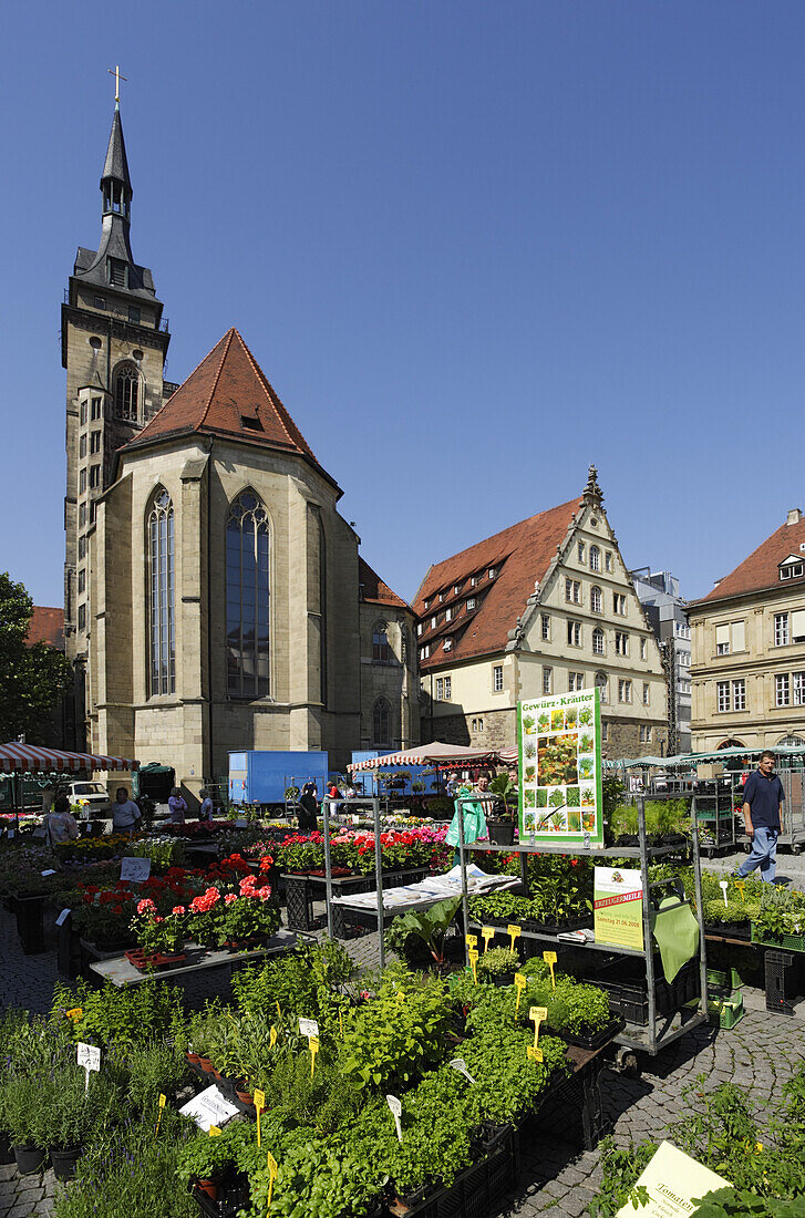 Flower market at Schiller Square, collegiate church in background, Stuttgart, Baden-Wurttemberg, Germany