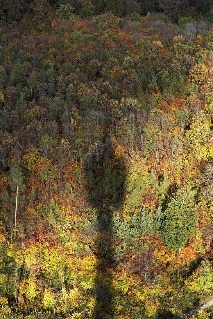 Schatten des Fernsehturms auf Herbstwald, Stuttgart, Baden-Württemberg, Deutschland