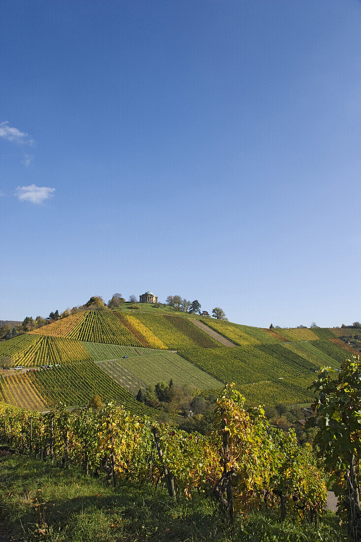 Weinberg mit Grabkapelle, Rotenberg, Untertürkheim, Stuttgart, Baden-Württemberg, Deutschland