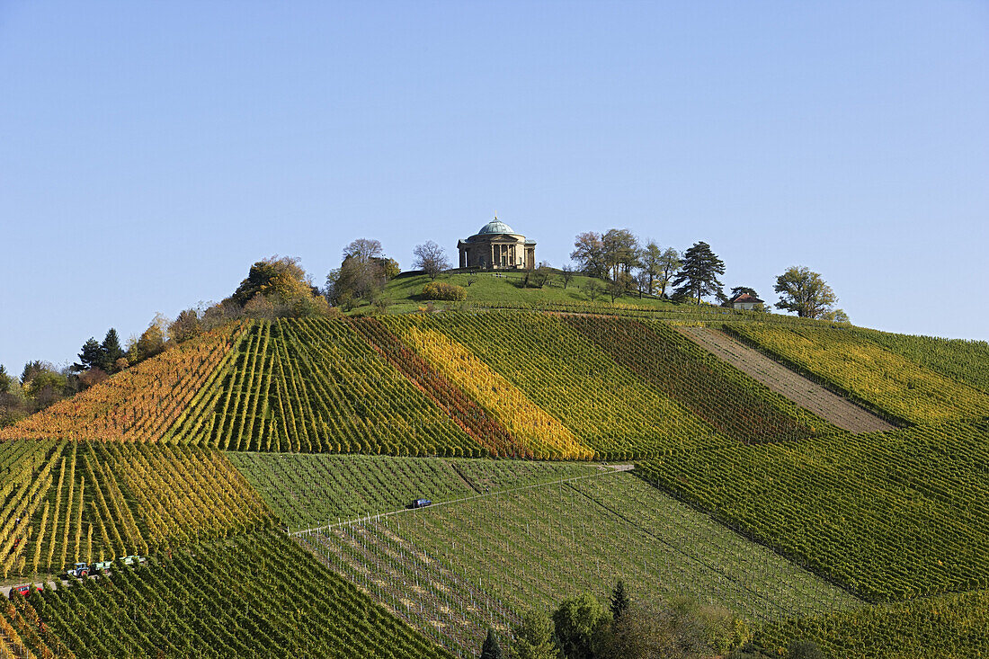 Weinberg mit Grabkapelle, Rotenberg, Untertürkheim, Stuttgart, Baden-Württemberg, Deutschland