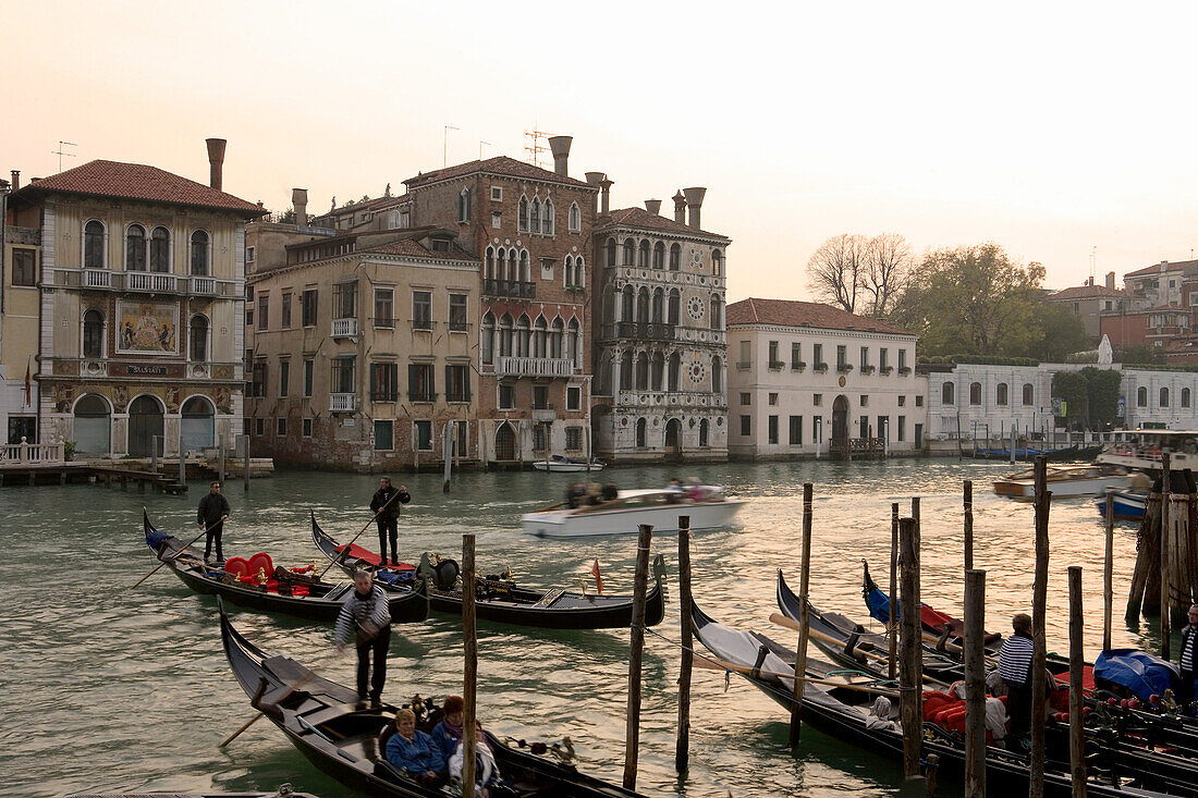 Canal Grande bei Sonnenuntergang, Venedig, Italien, Europa