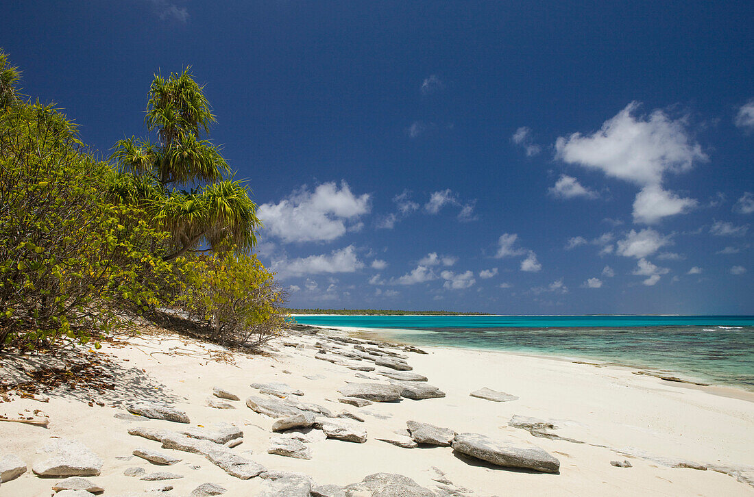Beach and Lagoon of Bikini, Marshall Islands, Bikini Atoll, Micronesia, Pacific Ocean