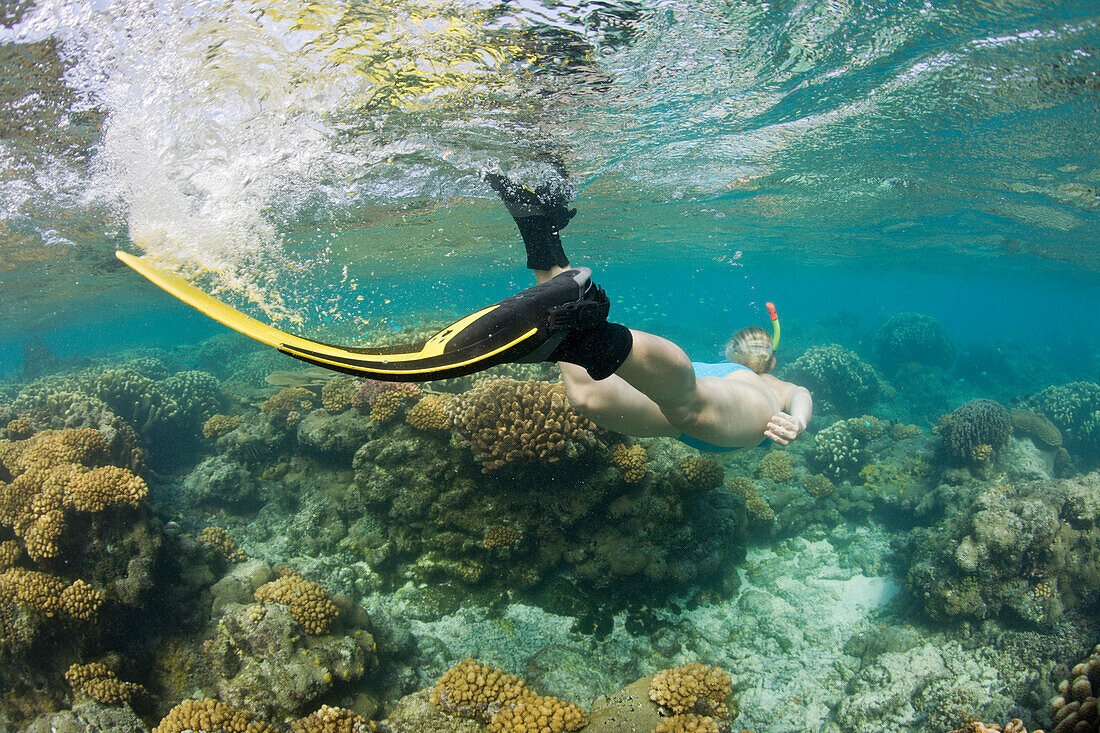 Schnorcheln im Bikini Atoll, Marschallinseln, Bikini Atoll, Mikronesien, Pazifik