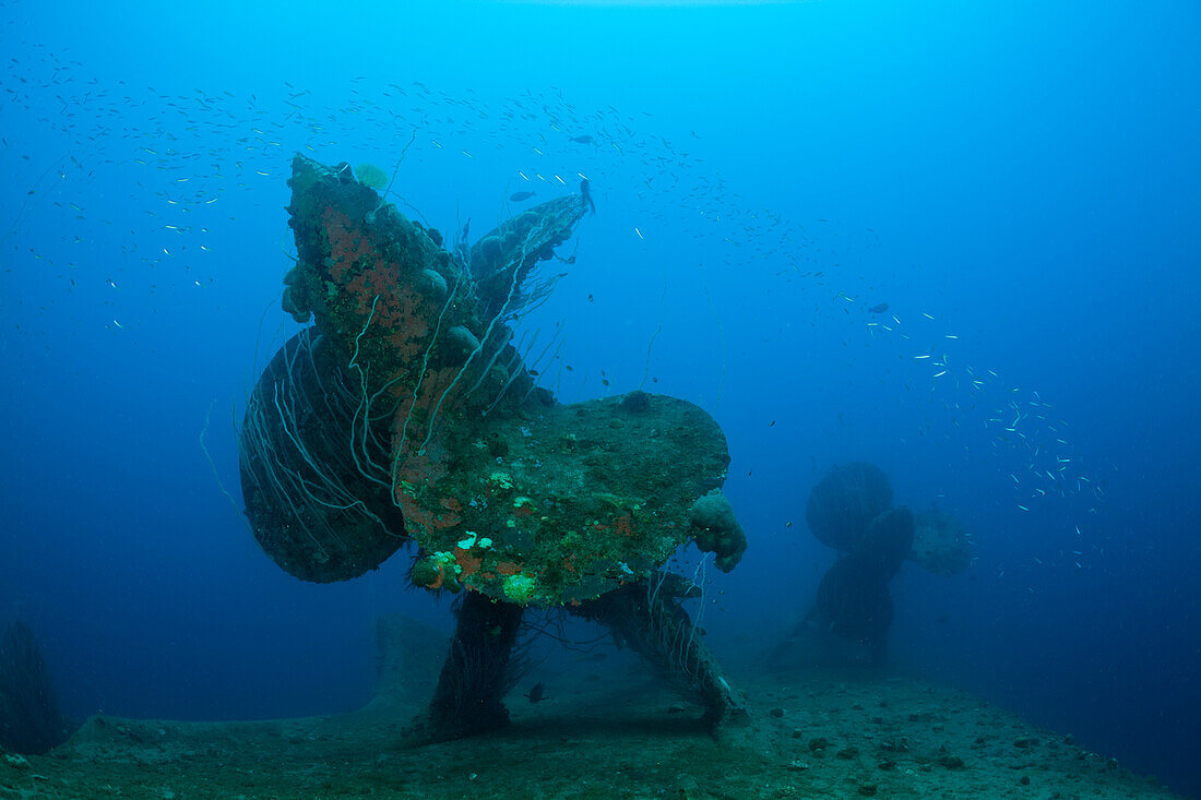 Propeller of HIJMS Nagato Battleship, Marshall Islands, Bikini Atoll, Micronesia, Pacific Ocean