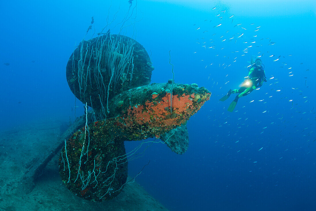 Diver at Propeller of HIJMS Nagato Battleship, Marshall Islands, Bikini Atoll, Micronesia, Pacific Ocean