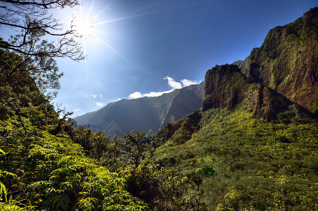 Iao Needle at Kepaniwai County Park, Iao Valley, Maui, Hawaii, USA