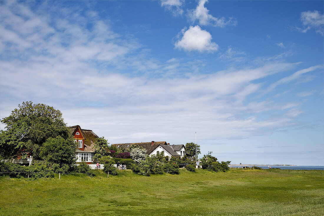 Thatched houses, Steenodde, Amrum island, Schleswig-Holstein, Germany