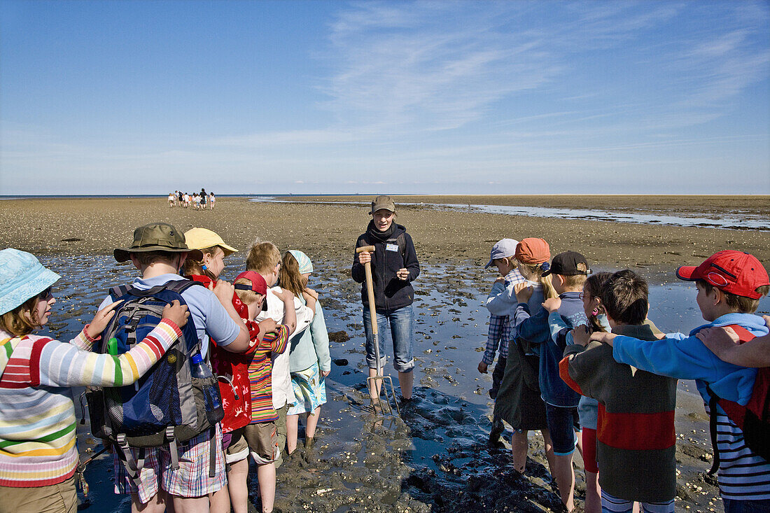 Mudflat hiking tour, Amrum Island, Schleswig-Holstein, Germany