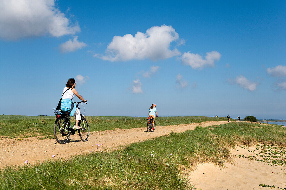 Radfahrer am Wattenmeer bei Steenodde, Amrum, Nordfriesland, Schleswig-Holstein, Deutschland
