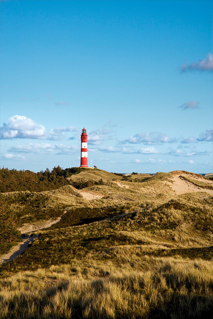 Leuchtturm in den Dünen, Amrum, Nordfriesland, Schleswig-Holstein, Deutschland