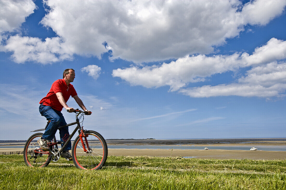 Cyclist on a dike, Foehr island, Schleswig-Holstein, Germany