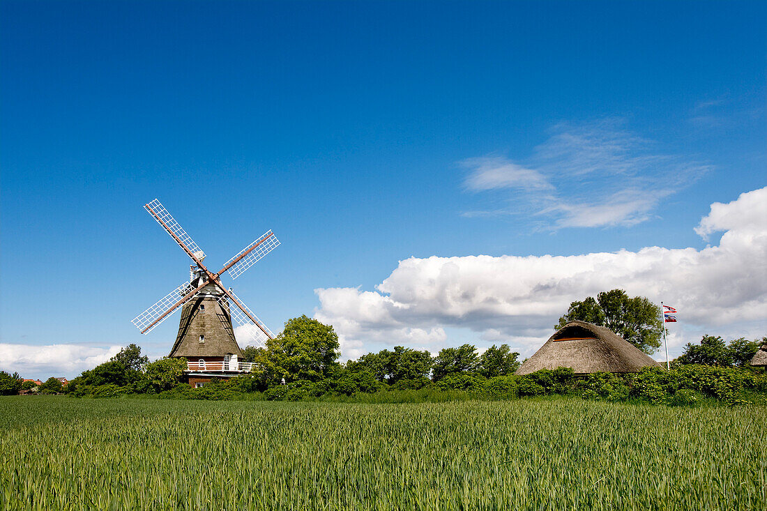 Mühle in Oldsum, Föhr, Nordfriesland, Schleswig-Holstein, Deutschland