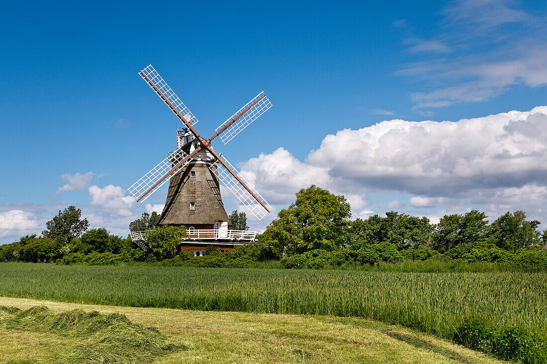 Windmill, Oldsum, Föhr Island, North Frisian Islands, Schleswig-Holstein, Germany