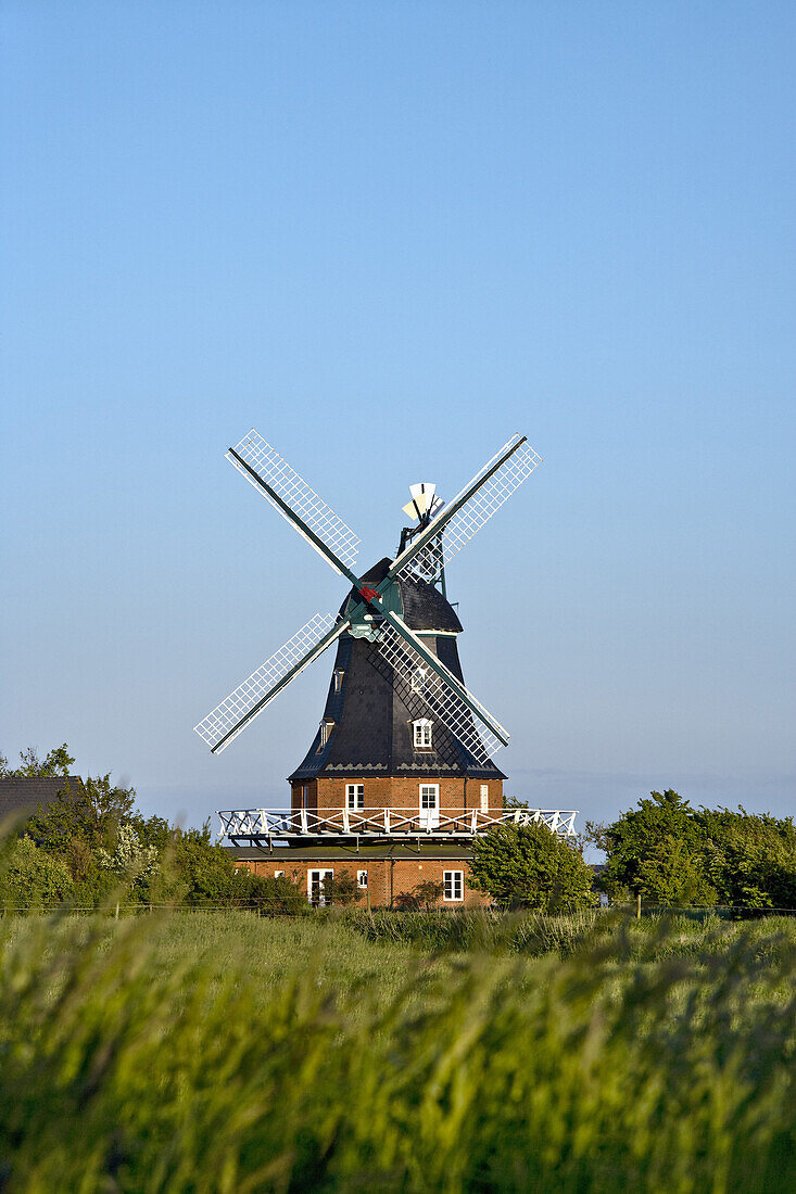 Windmill, Borgsum, Foehr island, Schleswig-Holstein, Germany