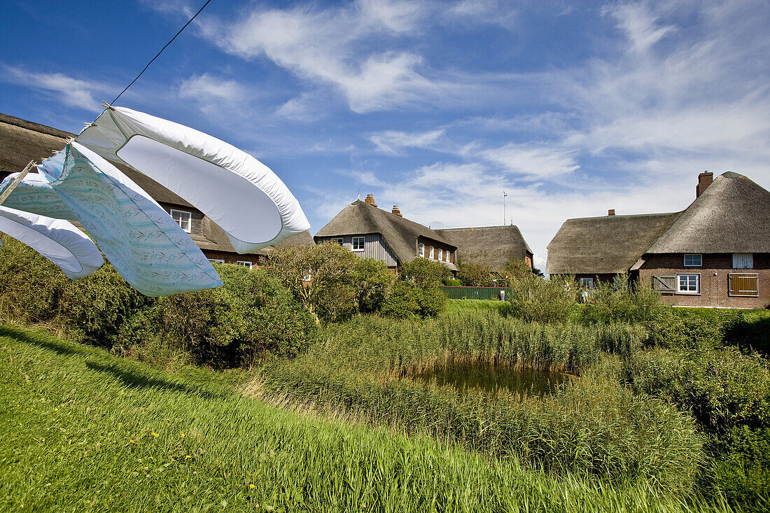 Knudtwarft mit Fething, Hallig Gröde, Schleswig-Holstein, Deutschland