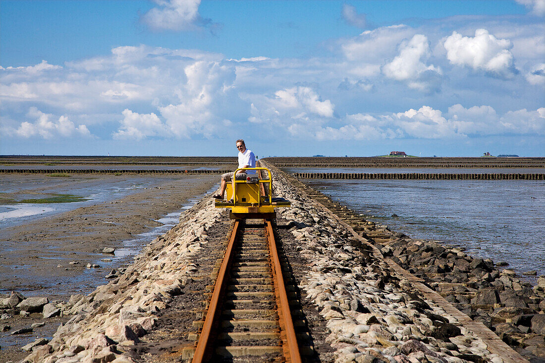 Lorendamm zur Hallig Nordstrandischmoor, Nordfriesland, Schleswig-Holstein, Deutschland