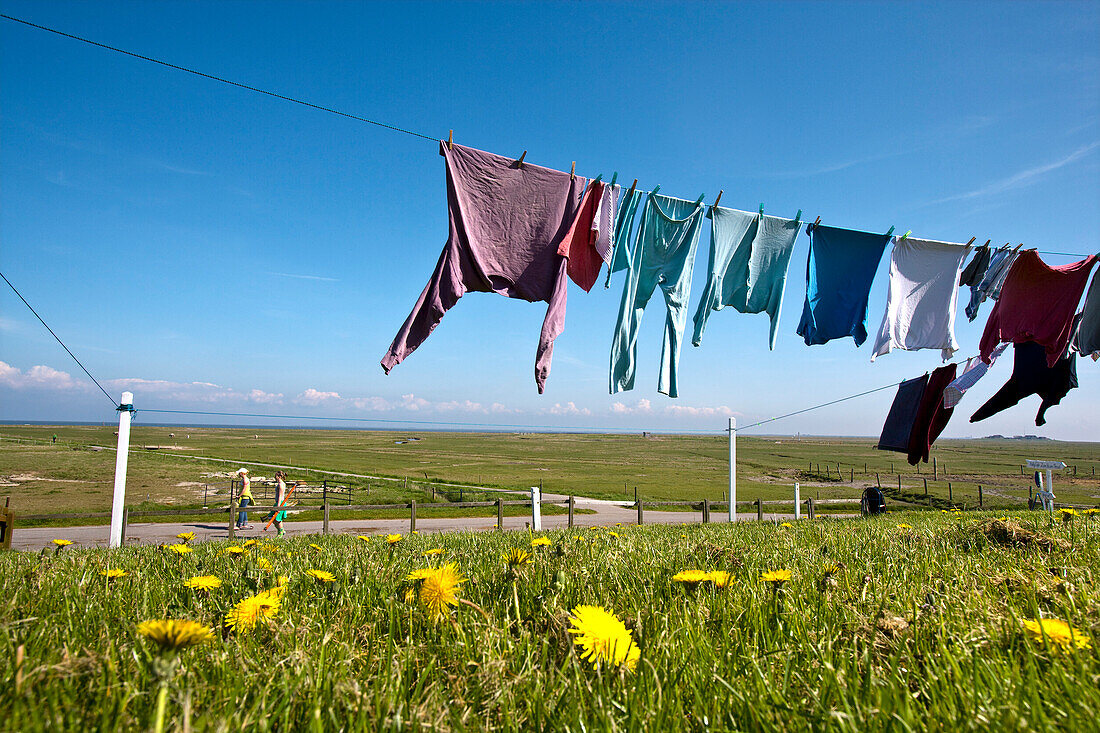 Clothesline, Hallig Hooge, North Frisian Islands, Schleswig-Holstein, Germany