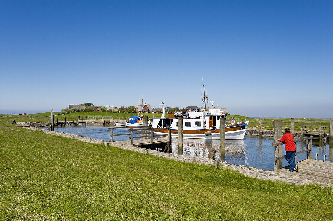 Harbor of the Hallig Oland, Schleswig-Holstein, Germany