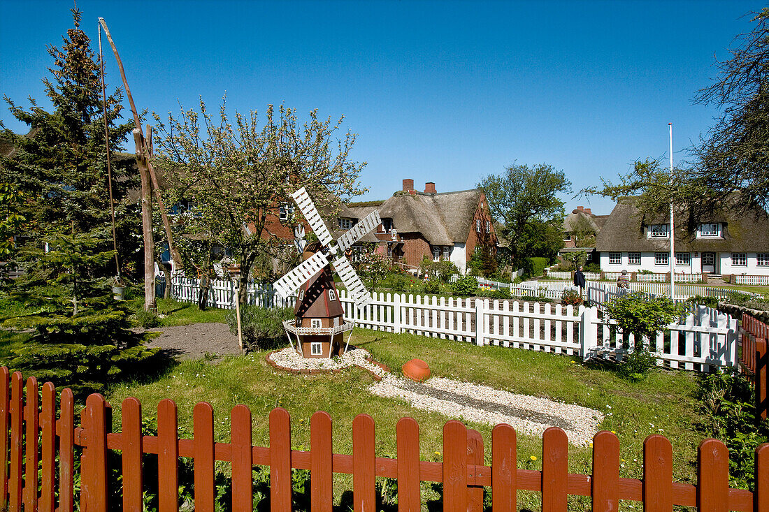 Village on Hallig Oland, North Frisian Islands, Schleswig-Holstein, Germany