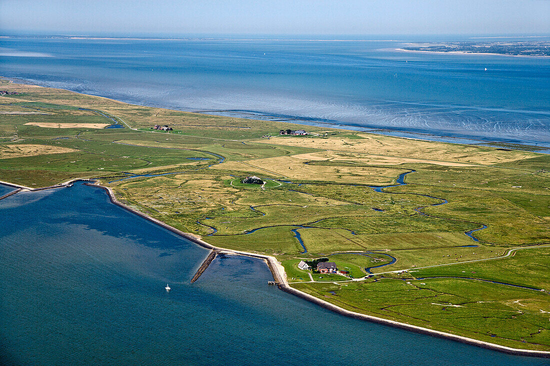 Luftaufnahme, Hallig Langeneß, Nordfriesland, Schleswig-Holstein, Deutschland