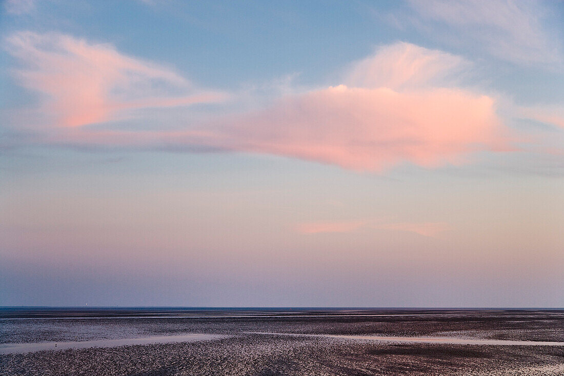 Mudflat, Pellworm Island, North Frisian Islands, Schleswig-Holstein, Germany