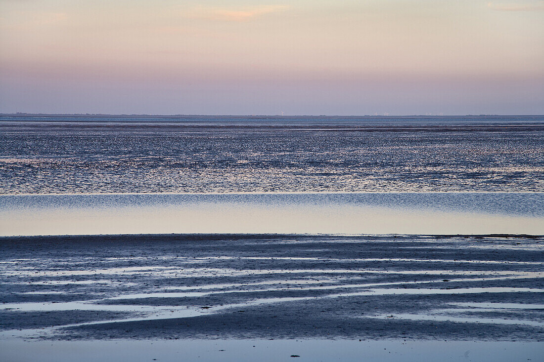 Mudflat, Pellworm island, Schleswig-Holstein, Germany