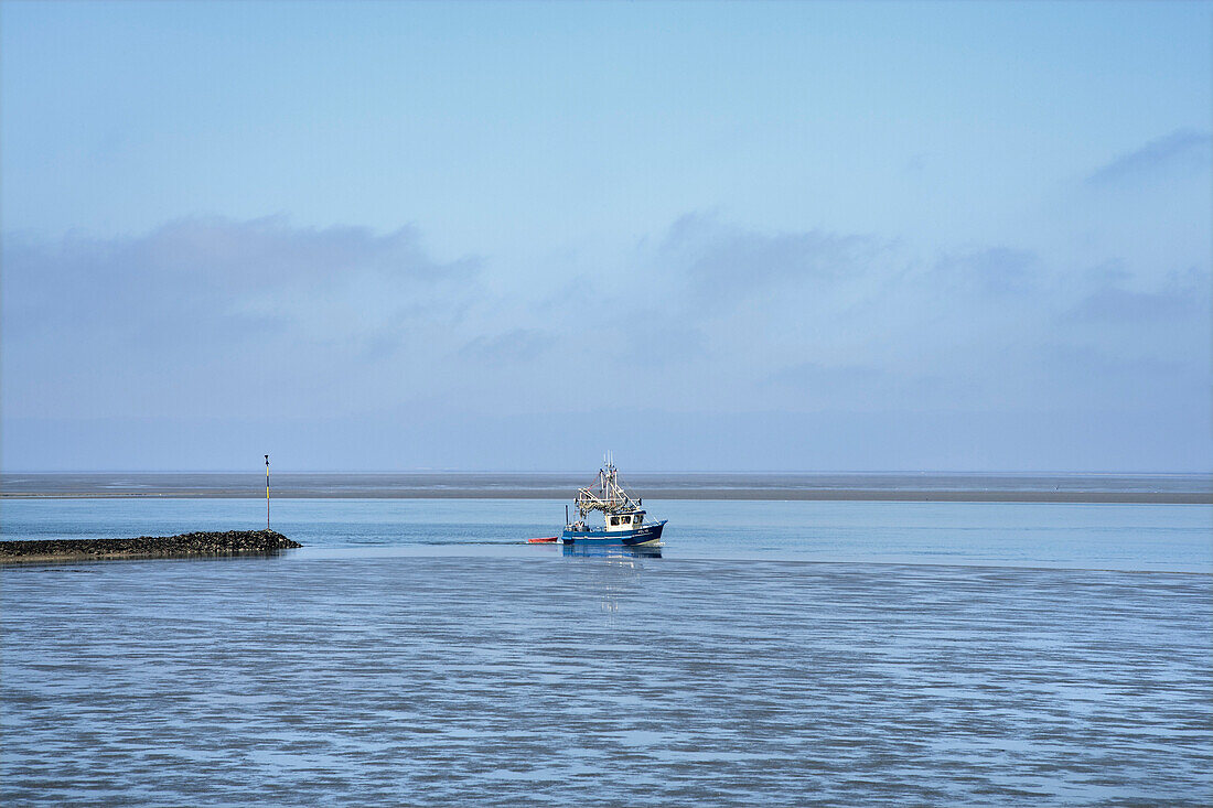 Kutter im Wattenmeer, Pellworm, im Hintergrund Hallig Hooge, Nordfriesland, Schleswig-Holstein, Deutschland