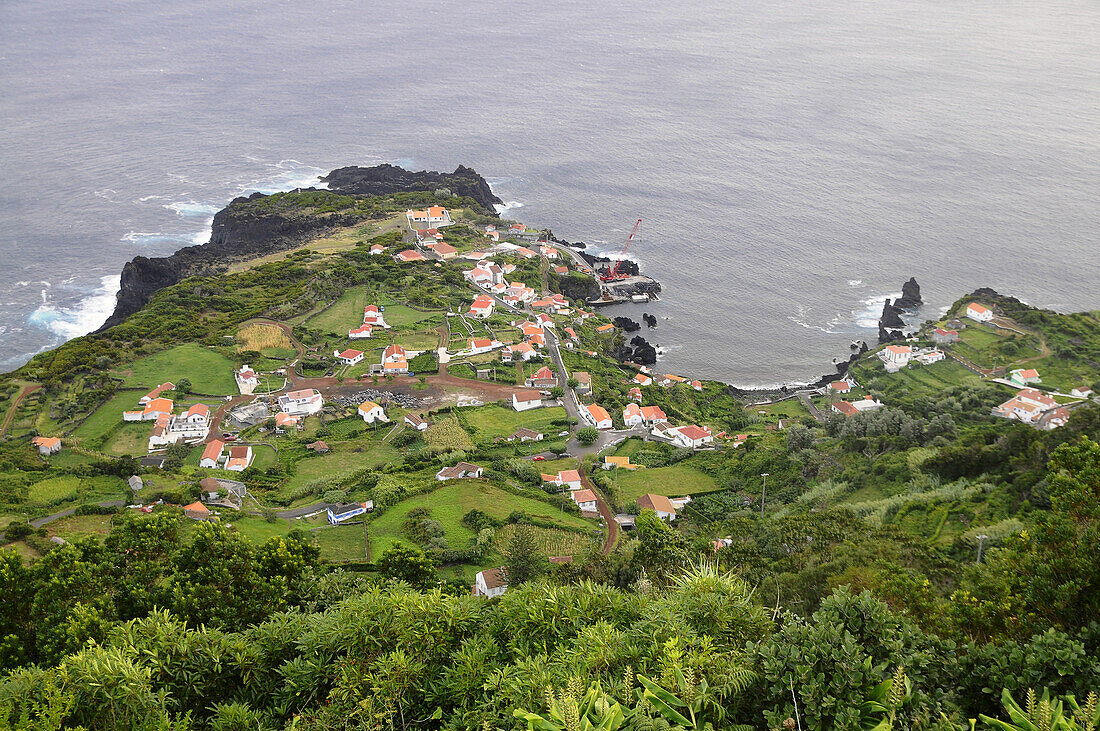 Küstenlandschaft, Faja do Ouvidor, Nordküste, Insel Sao Jorge, Azoren, Portugal
